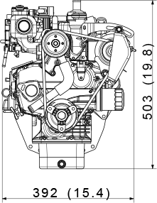 386(15.2) x 564(22.2)